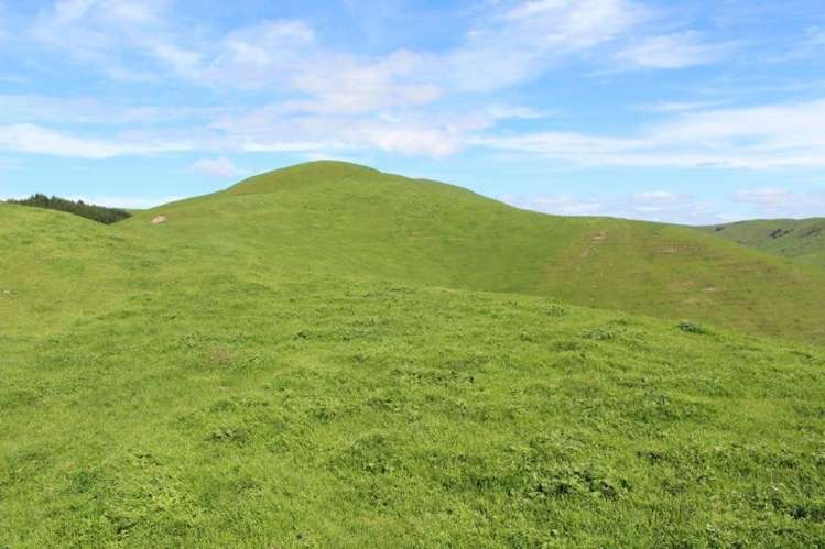 241 Awahuri Road Crownthorpe_8