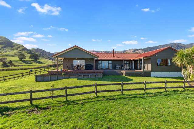 139 Hill Road Te Aroha_1