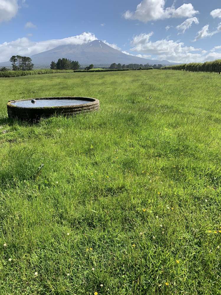 2372 Opunake Road Awatuna_13