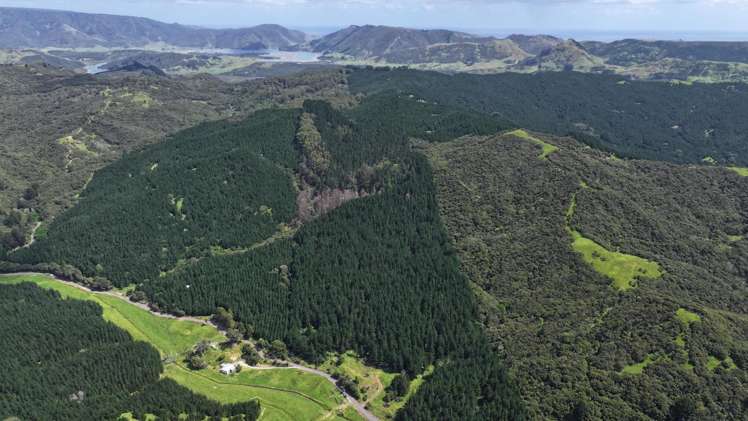 Puhata Road Herekino_21