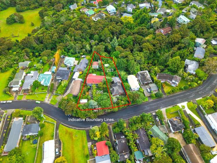 203 & 205 Manuka Road_0