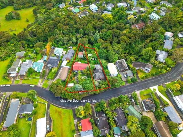 A Landmark Opportunity for Developers & Investors