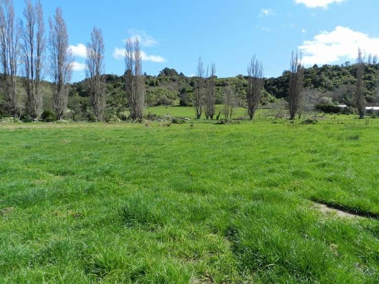 974 Finnis Road Pohangina_3