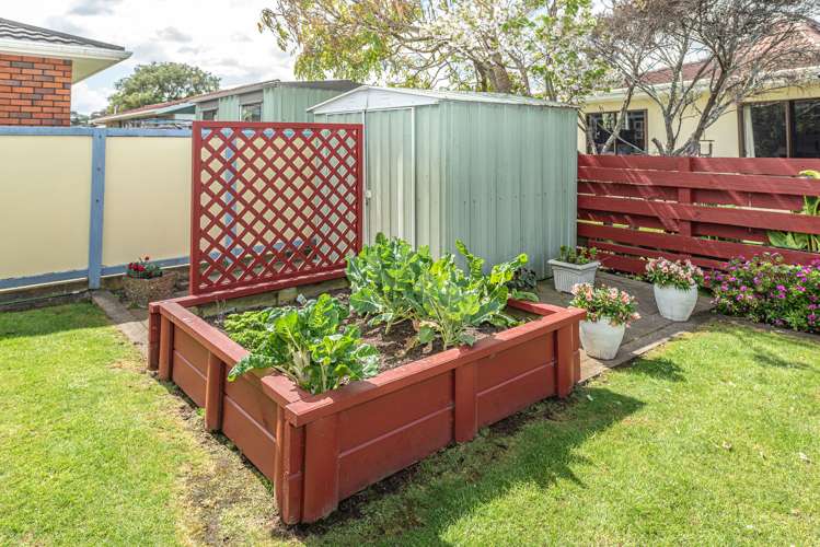 38 Somerset Road Springvale_21