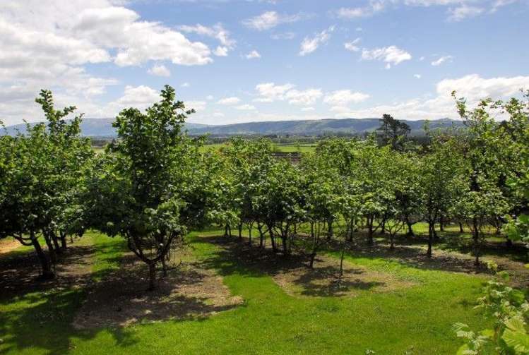 15 Friends Hill Road Mosgiel_15