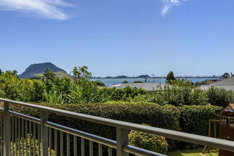 6 Laing Place Otumoetai_24