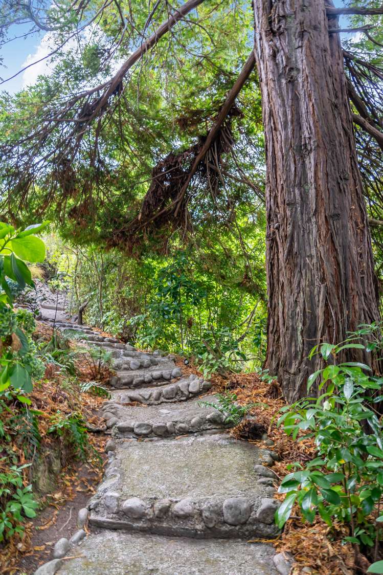 4 Park Road Belmont_32