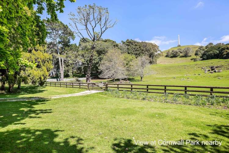 48 Campbell Road Onehunga_8