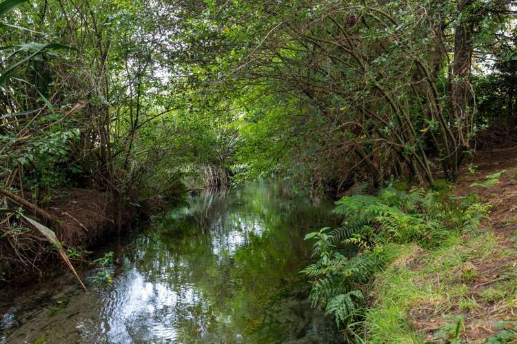 19 Darroch Street Fairy Springs_19