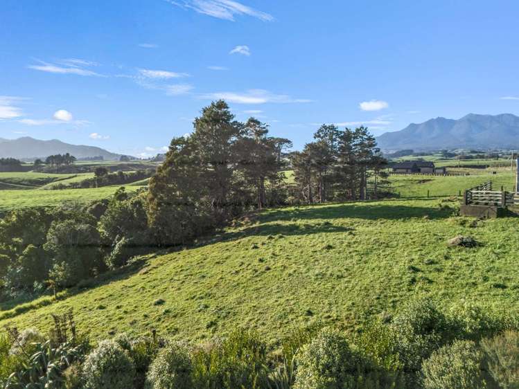 311 Dover Road Okato_7