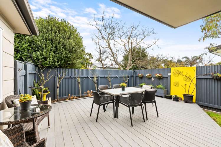 181b Georges Drive Napier South_11