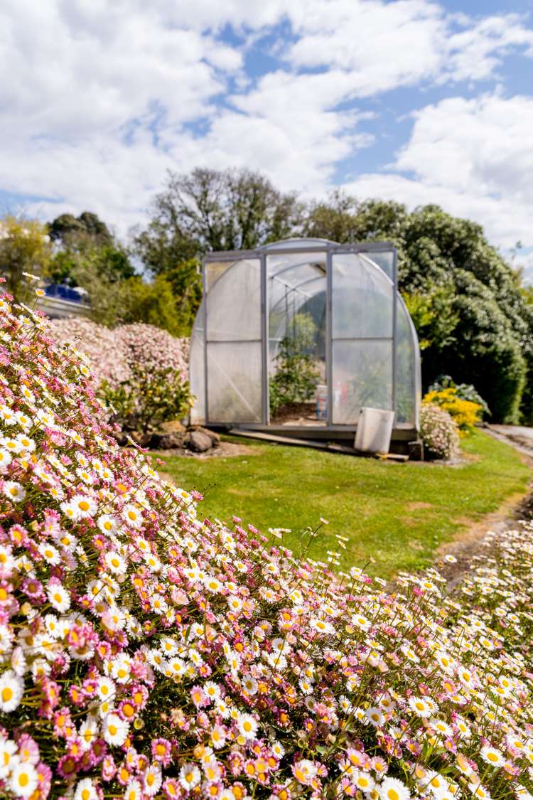 7 Tenby Street Moeraki_34