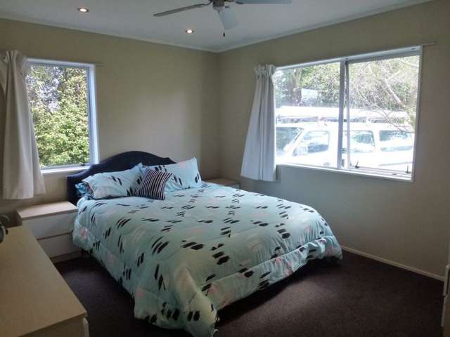 3 Florence Drive Morrinsville_4