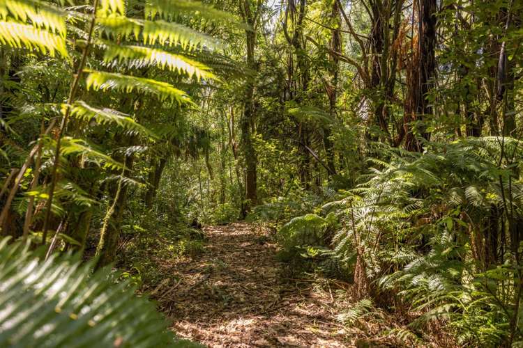 Lot 2/72 Belk Road South Omanawa_0