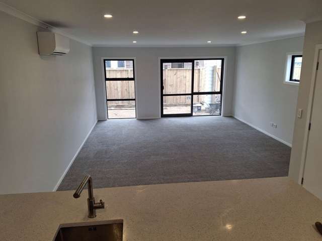 149 Nixon Street Hamilton East_4