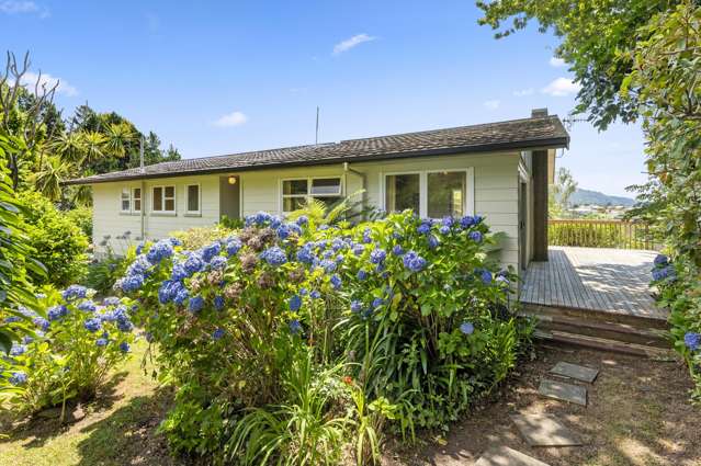 15 Raniera Place Springfield_3