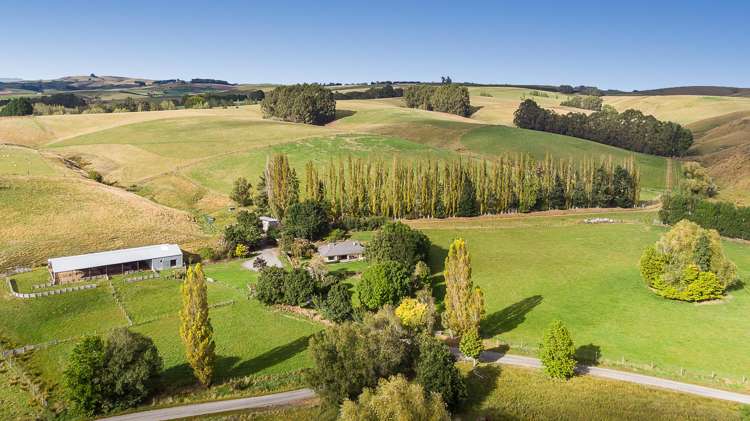 83 Waitahuna Cemetery Road Waitahuna_25