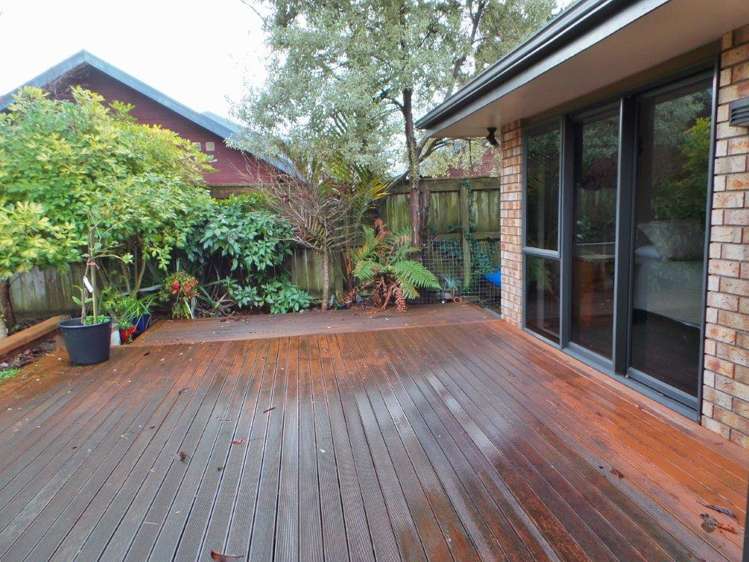 3 Roseash Lane Levin_15