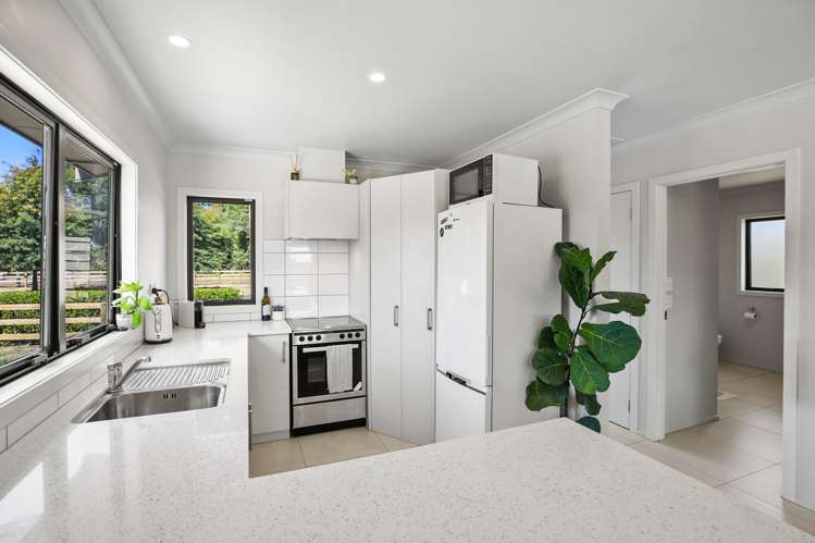 298a Bellevue Road Matangi_25