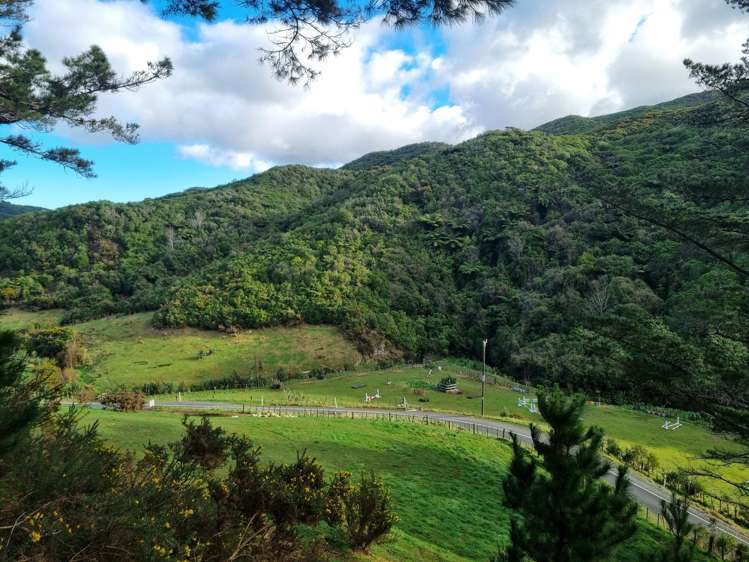 186 Stratton Street Normandale_4