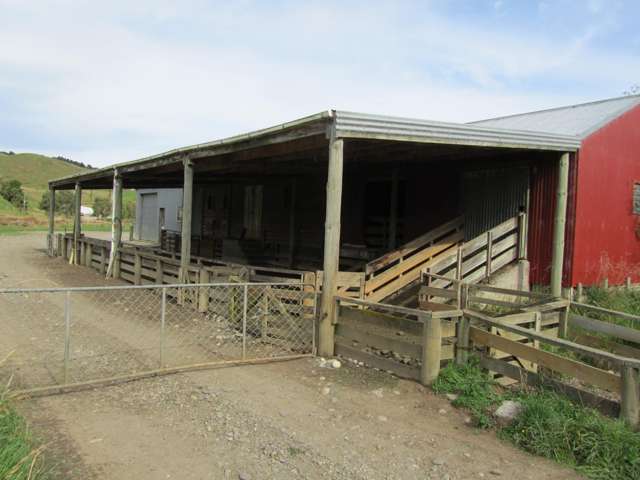 348 Happy Valley Road Tuatapere_4