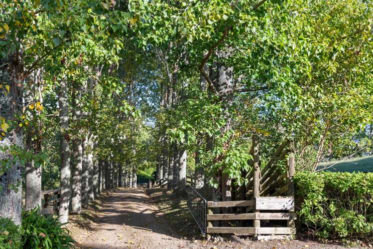 11B Gelling Road Ararimu_16