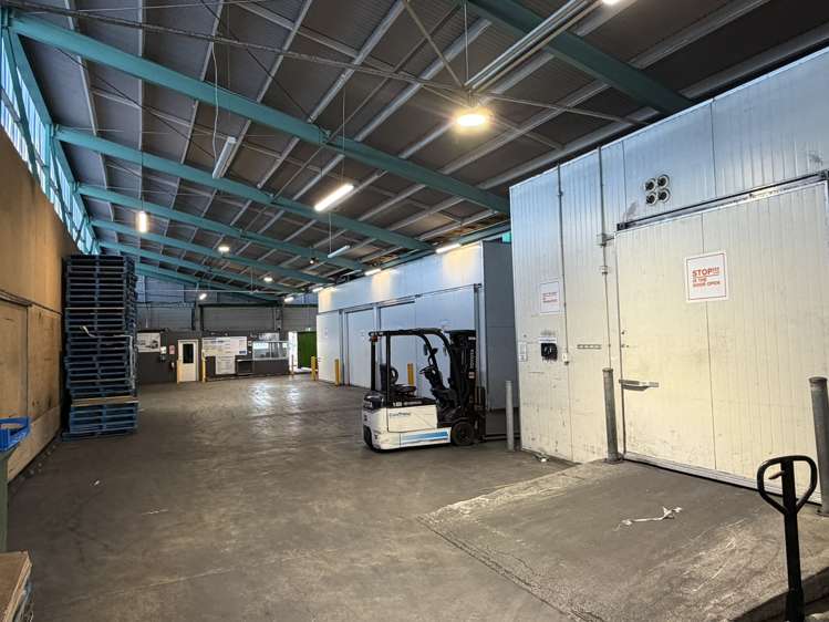 9 Midland Street South Dunedin_6