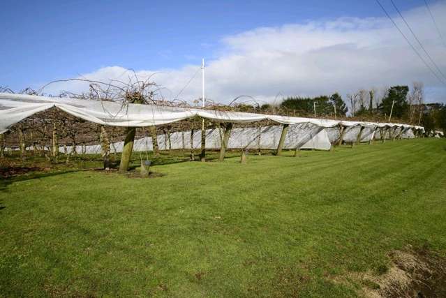 77 Rea Road Hauraki Surrounds_2