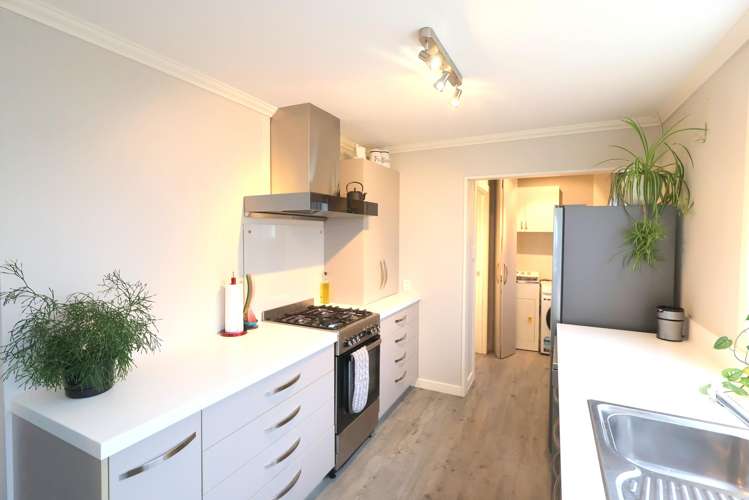 36 Theodore Street Bluff_6