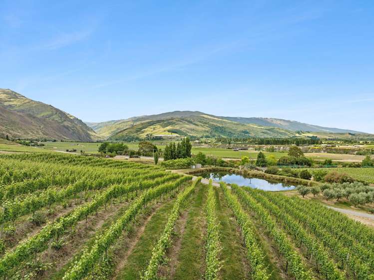 143 Felton Road Bannockburn_19