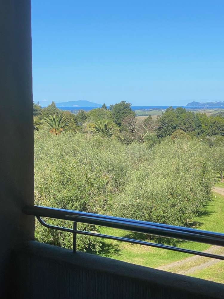 728 Ormiston Road Waipu_16