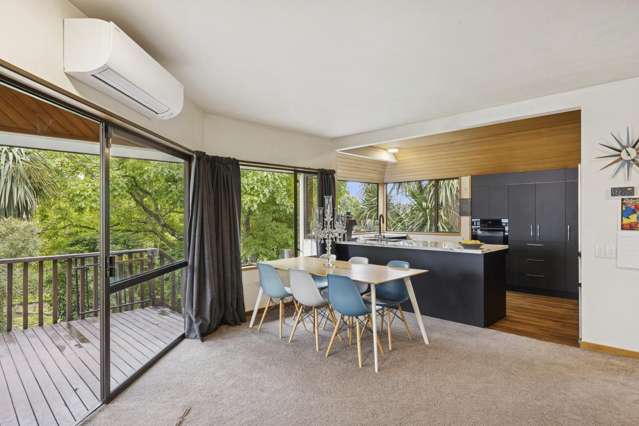 43 Pacific Street Roslyn_3