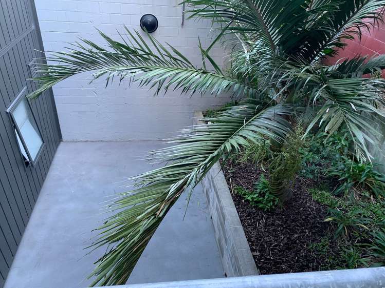 2b/6 Winchester Street Grey Lynn_15