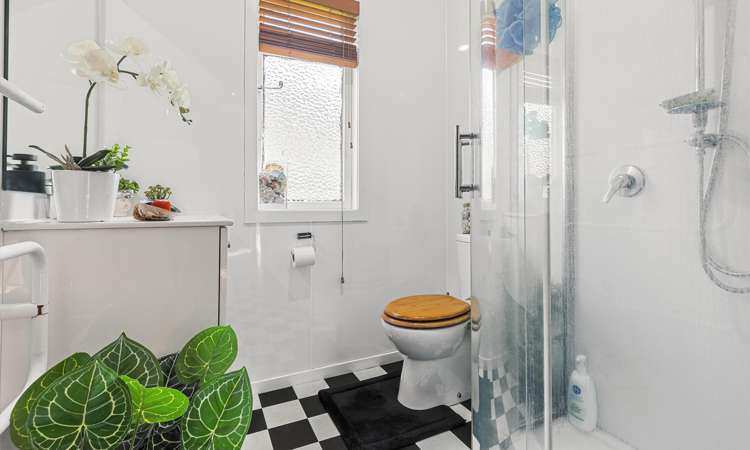 14 Ellis Road Benneydale_10