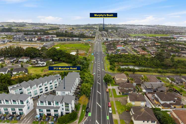 313 Murphys Road Flat Bush_25