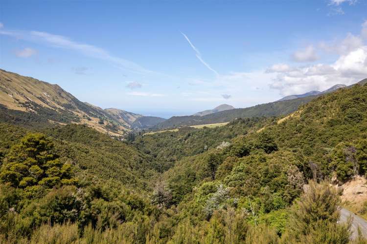 1178 Puhi Puhi Road Puhi Puhi_11