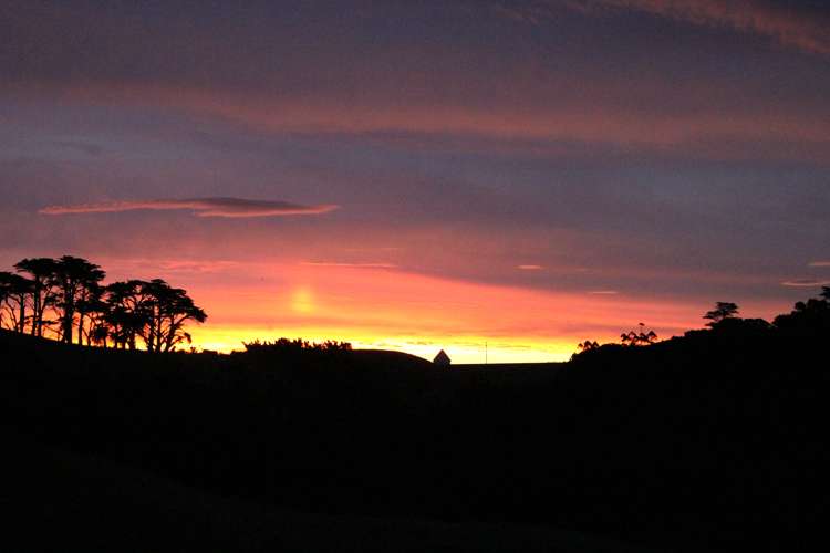 1096f Awhitu Road Pollok_29