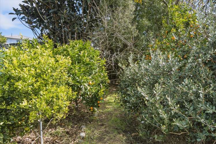 3 Raleigh Street Waitara_31