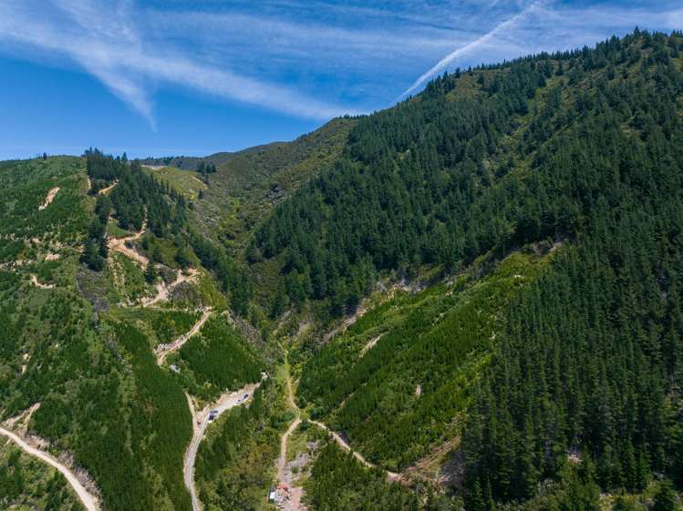 785 Waikakaho Road Tuamarina_11