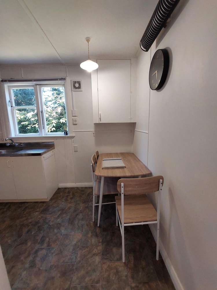 1A Albert Street Dannevirke_2