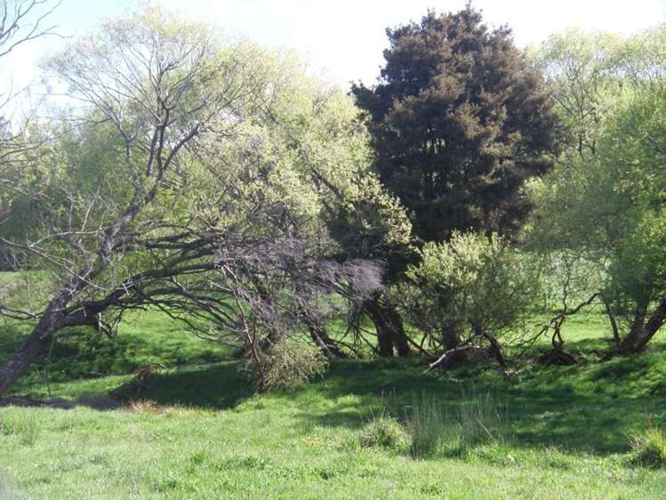 130 Teapot Valley Road Brightwater_21