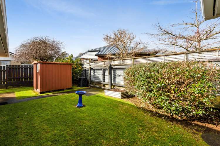 3/265 Carrington Street Vogeltown_27