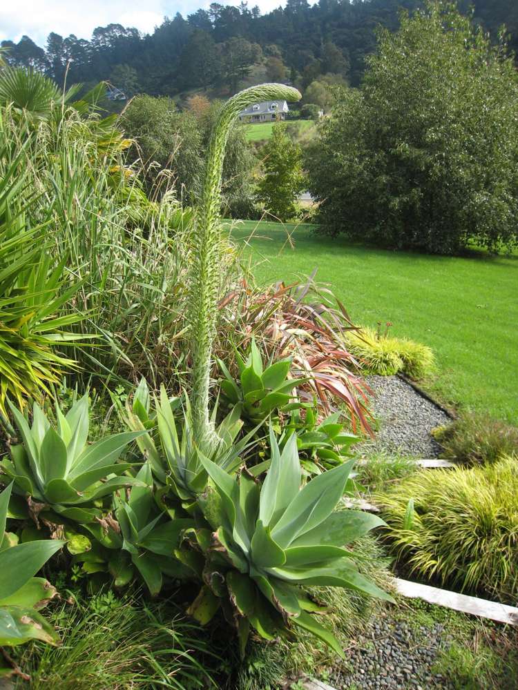 58 Haigh Access Rd Long Bay_11