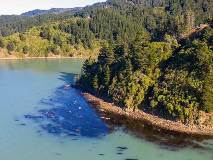 1711 Port Underwood Road Port Underwood_5