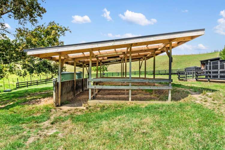 1539 State Highway 16 Helensville_24