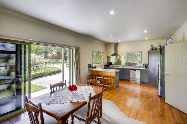 39 Algernon Road Longlands_4