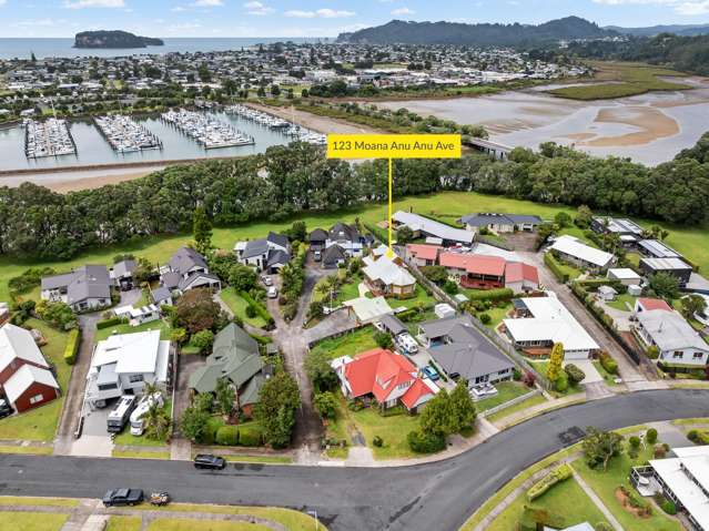 123 Moana Anu Anu Avenue Whangamata_2