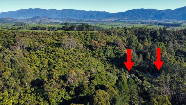 1833 Takaka-Collingwood Highway Parapara_1