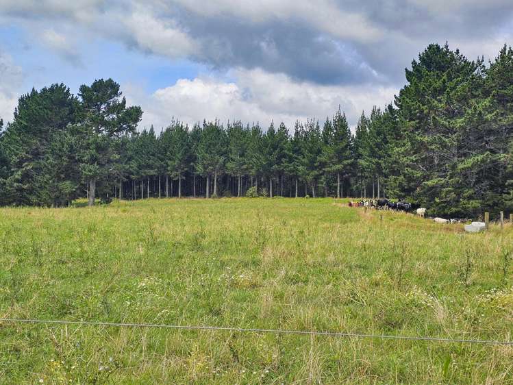 248 Lichenstein Road Okere Falls_9