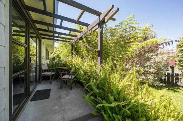 2 Chandler Street Tahunanui_2